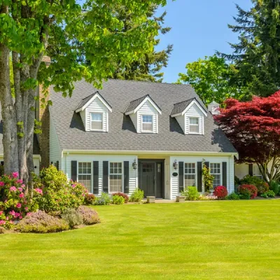 pest free home