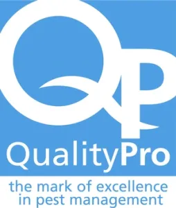 Quality Pro