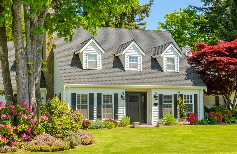 Pest Free home